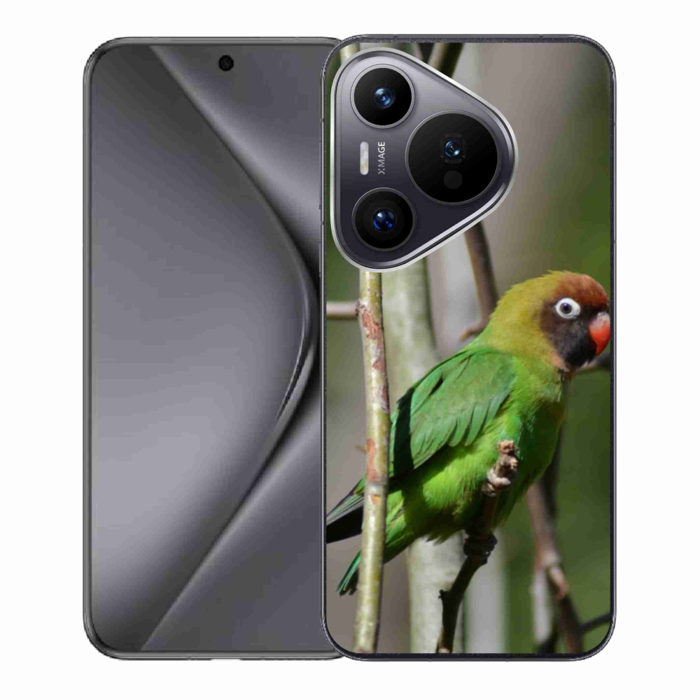 Gél borító mmCase a Huawei Pura 70 készülékhez - papagáj agapornis