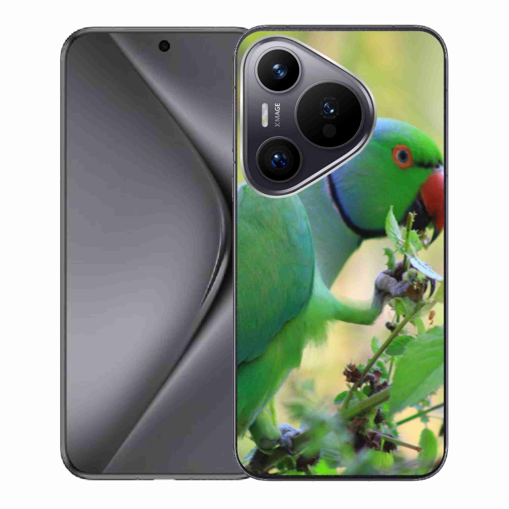Zselés borítás mmCase a Huawei Pura 70 készülékhez - papagáj alexandr