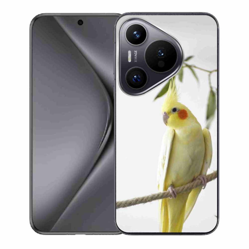 mmCase gél tok a Huawei Pura 70-hez – tollas papagáj