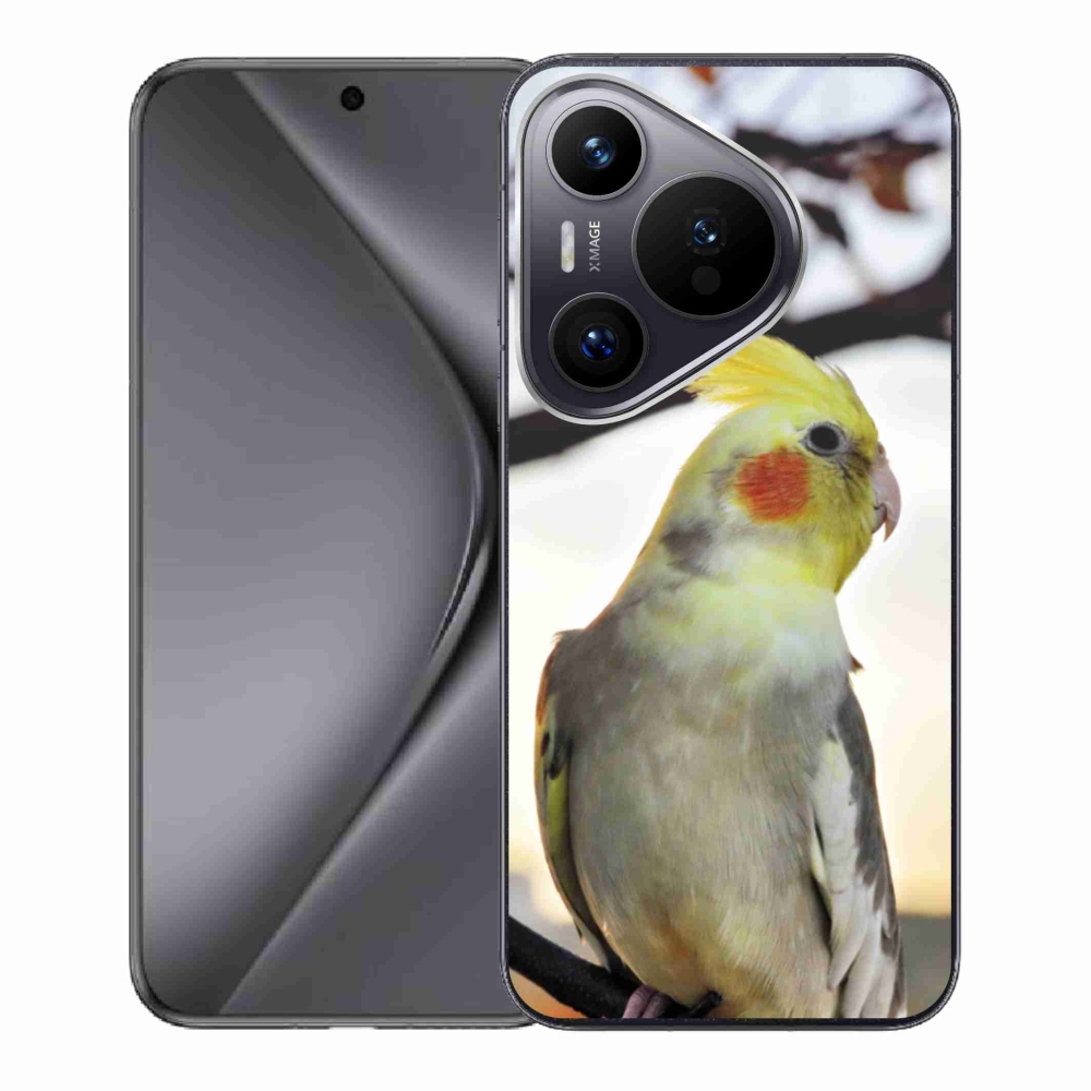 Zselés borítás mmCase a Huawei Pura 70 készülékhez - papagáj korela