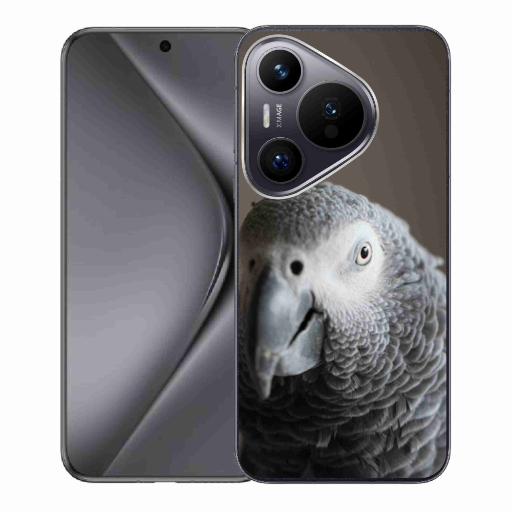 Gél borítás mmCase a Huawei Pura 70 készülékhez - papagáj jacco 2