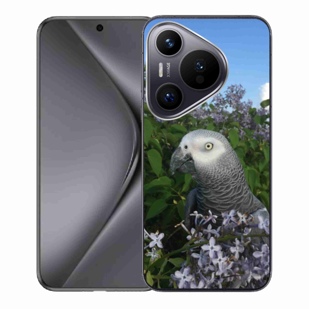 Gél borítás mmCase a Huawei Pura 70 készülékhez - papagáj jacco
