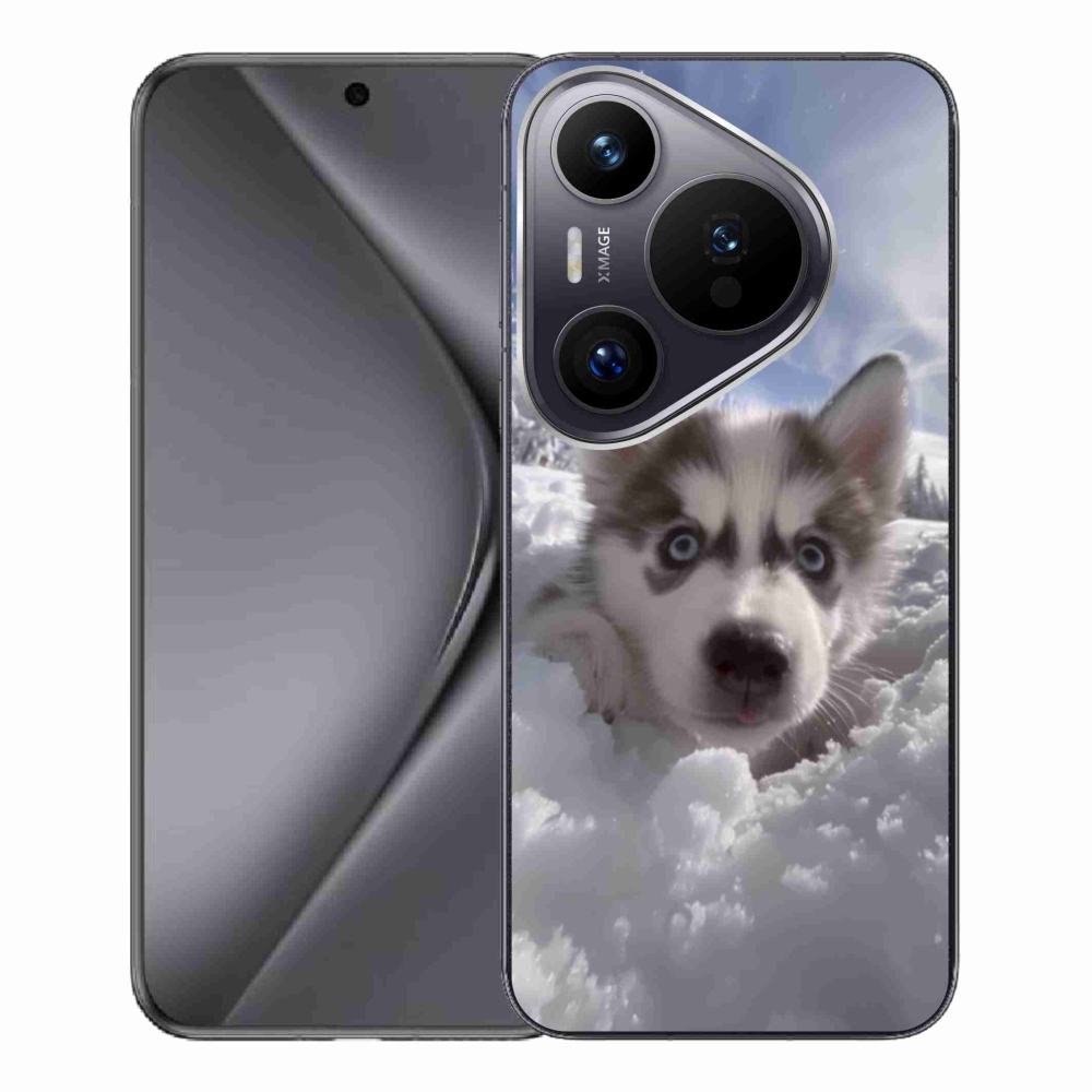Gél borítás mmCase a Huawei Pura 70 Pro számára - husky a hóban