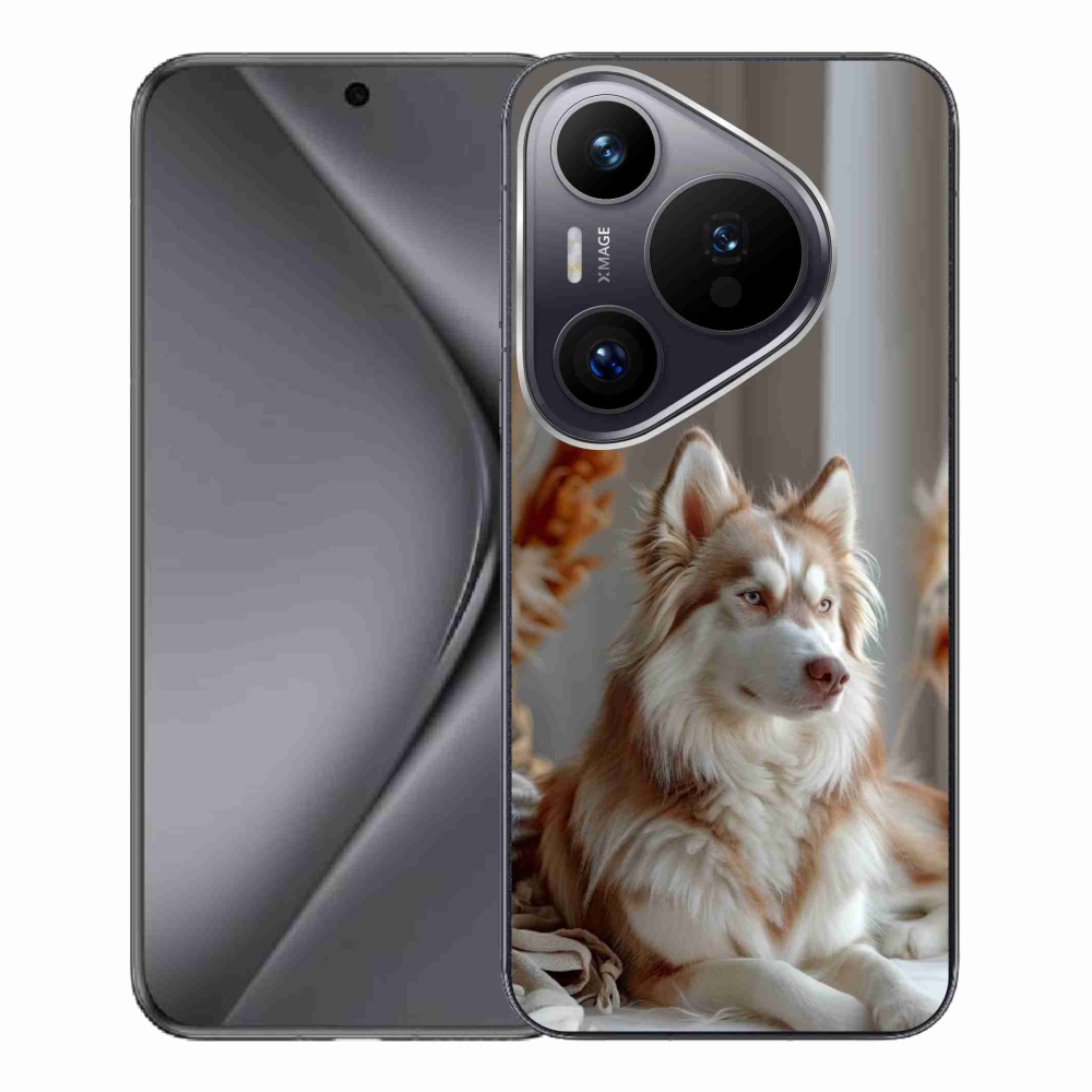 mmCase gél tok a Huawei Pura 70 Pro-hoz – nyugodt szibériai husky