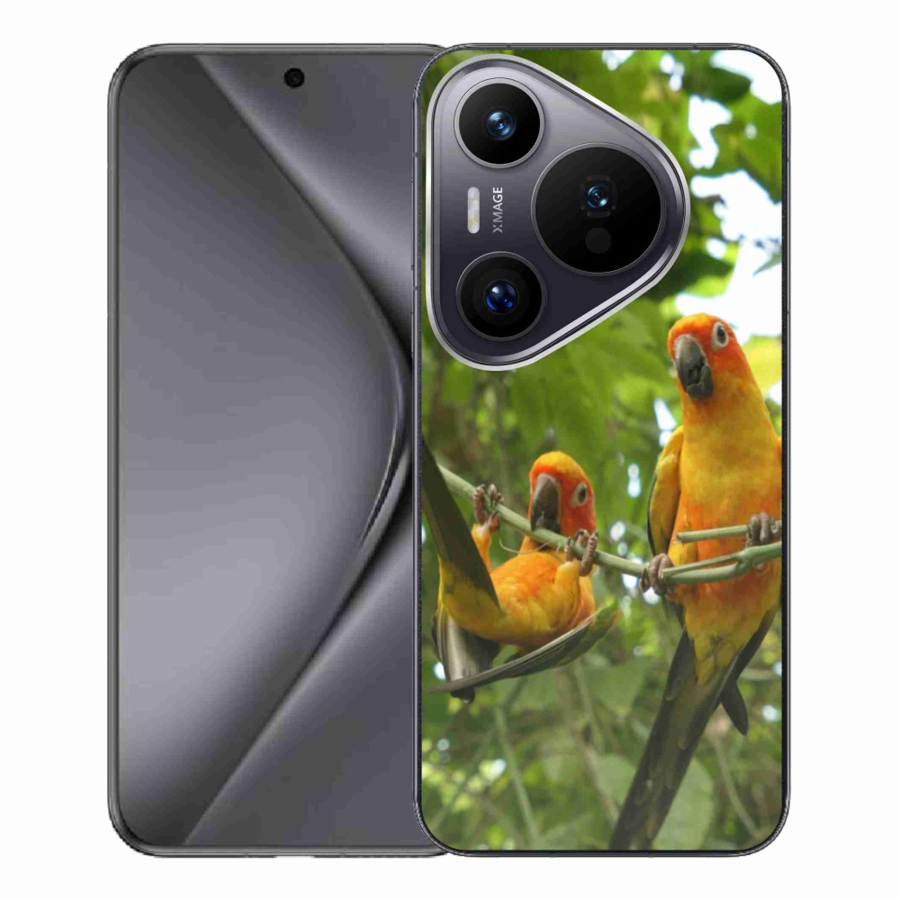 Gél borító mmCase a Huawei Pura 70 Pro - papagájok aratingy