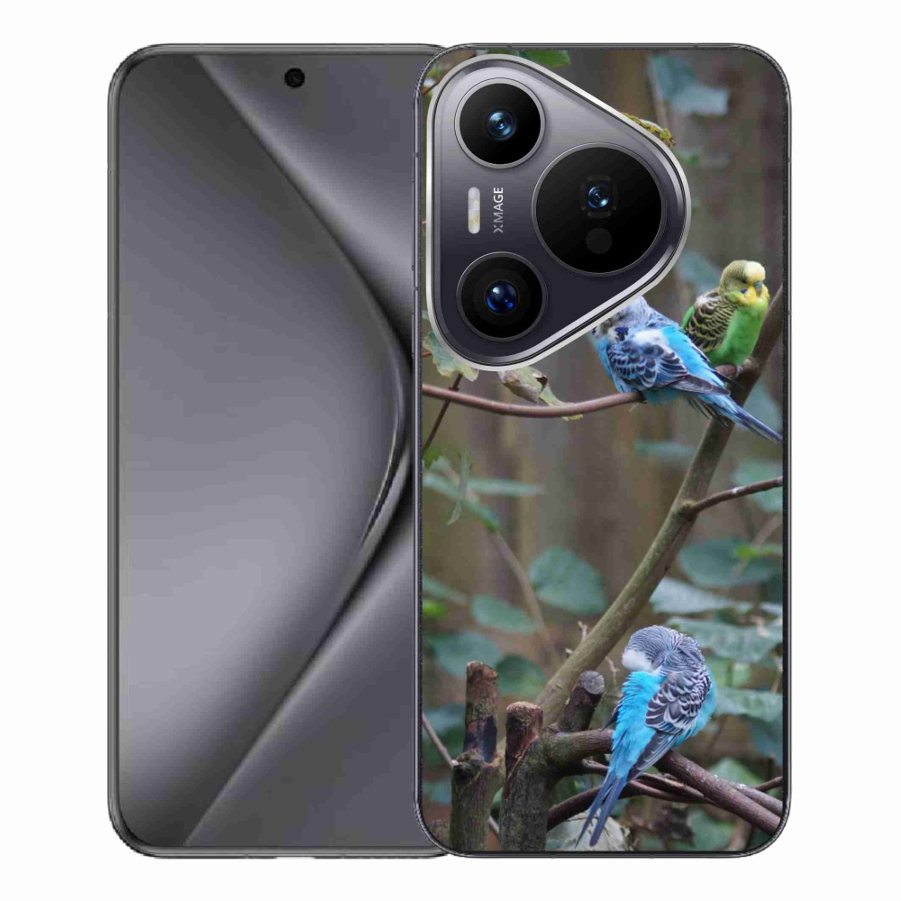 mmCase gél tok a Huawei Pura 70 Pro-hoz – papagájok az ágon