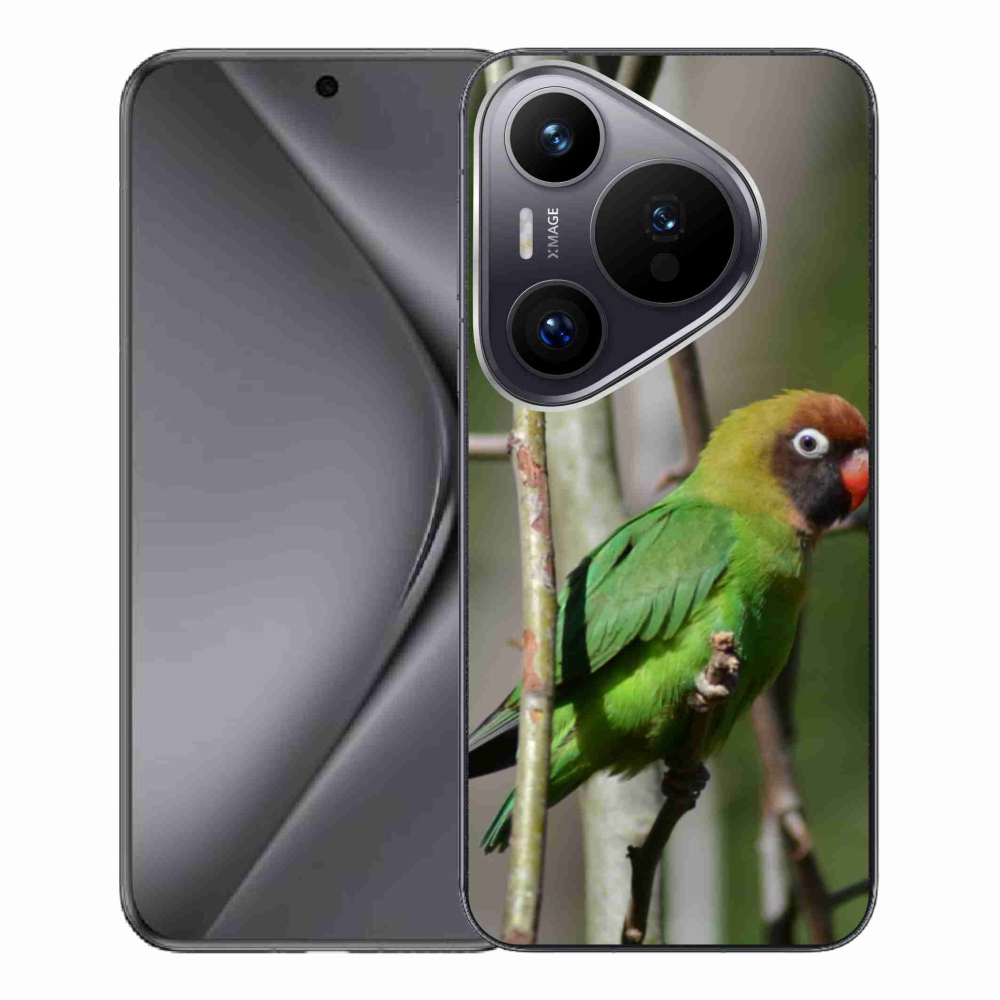 Gél borítás mmCase a Huawei Pura 70 Pro készülékhez - papagáj agapornis