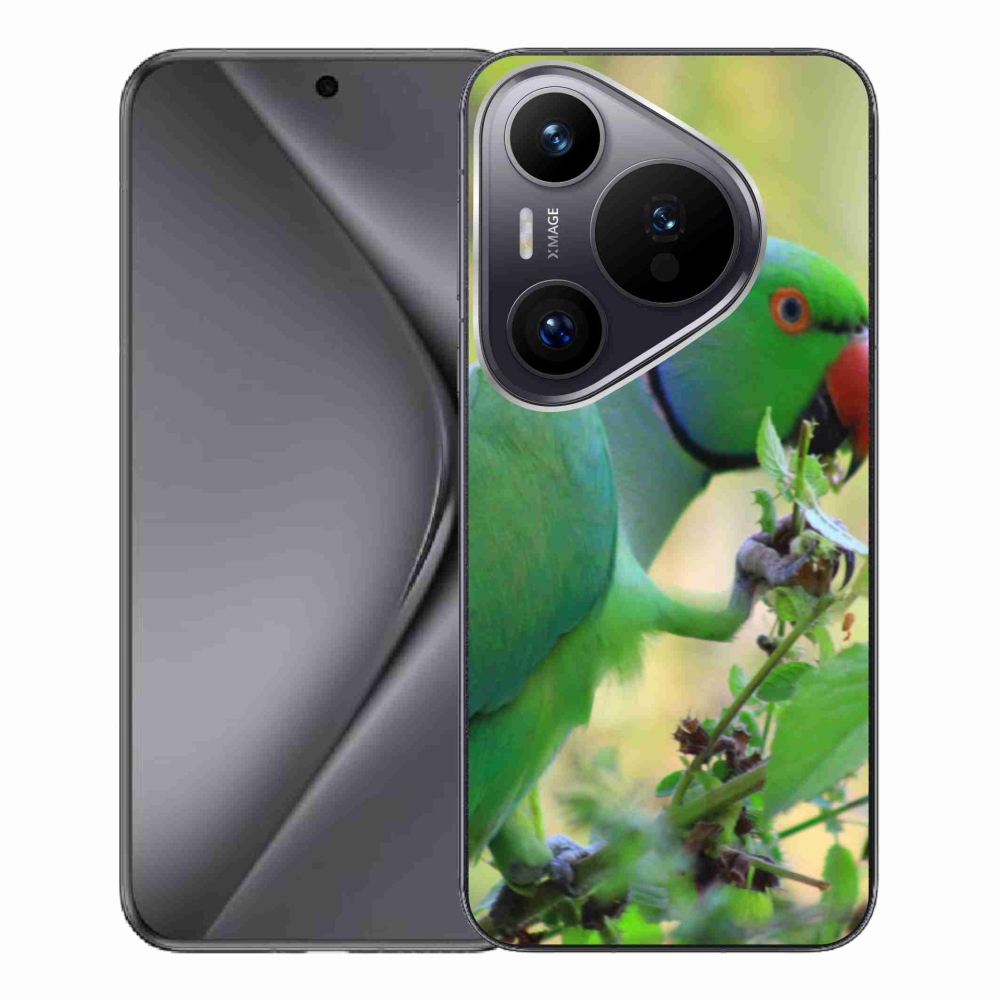 Gél borítás mmCase a Huawei Pura 70 Pro készülékhez - papagáj alexandr