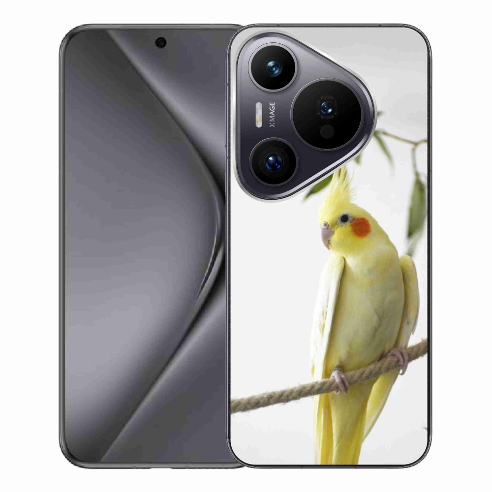 mmCase gél tok a Huawei Pura 70 Pro-hoz – tollas papagáj