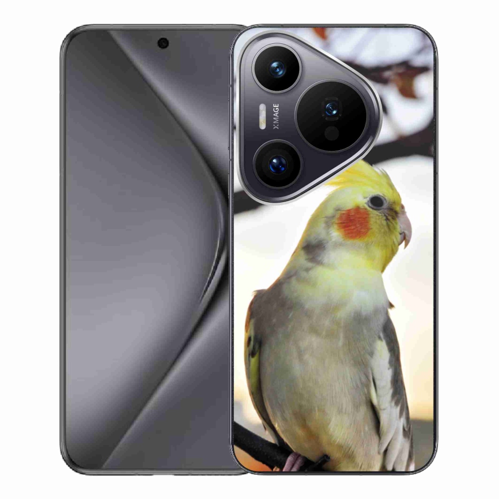 Gél borítás mmCase a Huawei Pura 70 Pro készülékhez - papagáj korela