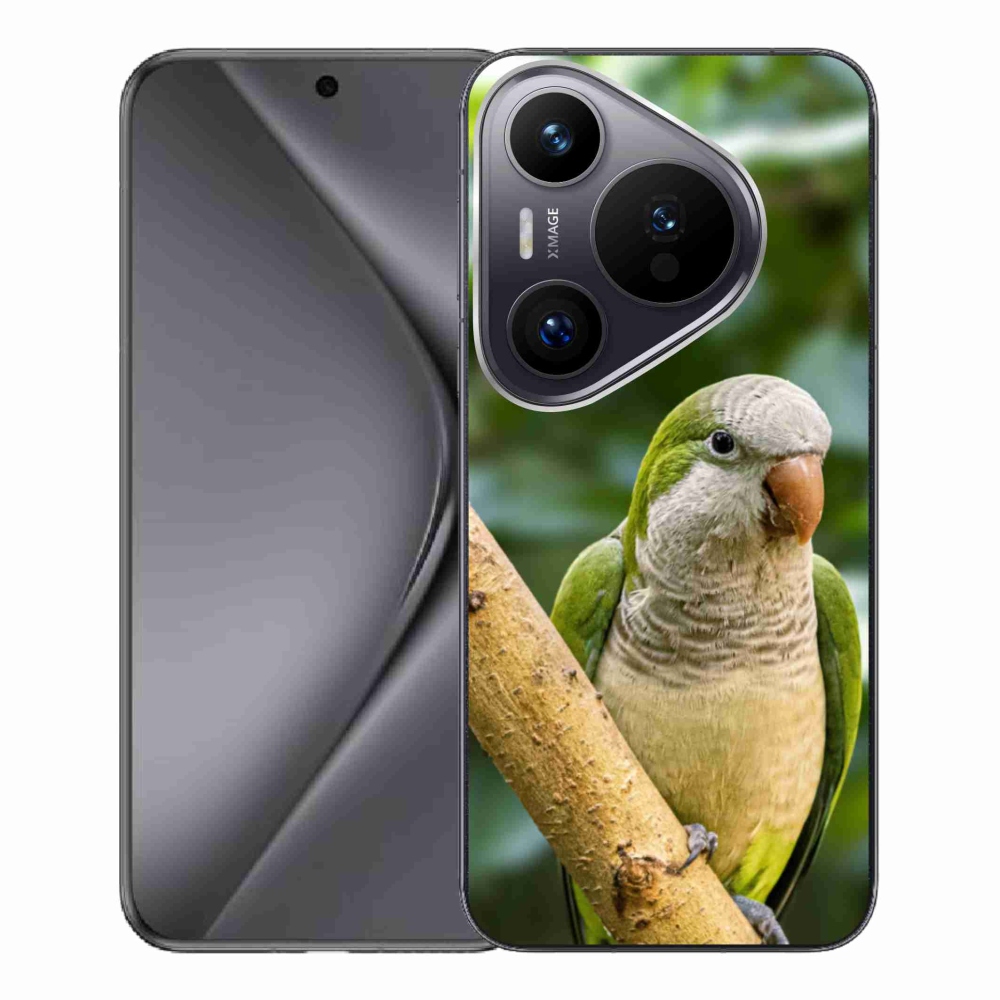 Gél borítás mmCase a Huawei Pura 70 Pro készülékhez - papagáj szerzetes