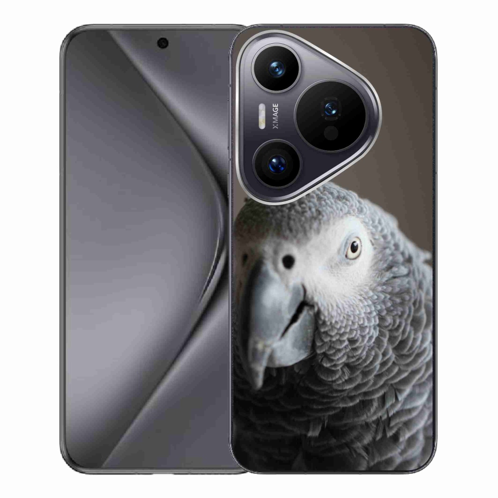 Gél borítás mmCase a Huawei Pura 70 Pro készülékhez - papagáj jacco 2