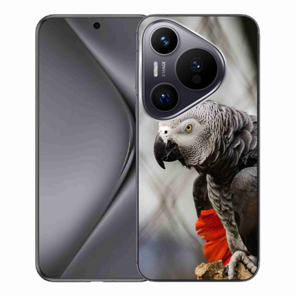 mmCase géltok a Huawei Pura 70 Pro-hoz – szuka papagáj 3