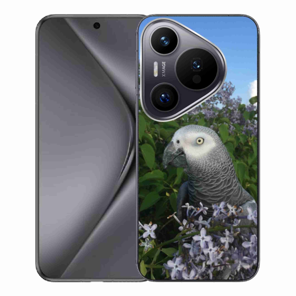 Gél borítás mmCase a Huawei Pura 70 Pro készülékhez - papagáj jacco
