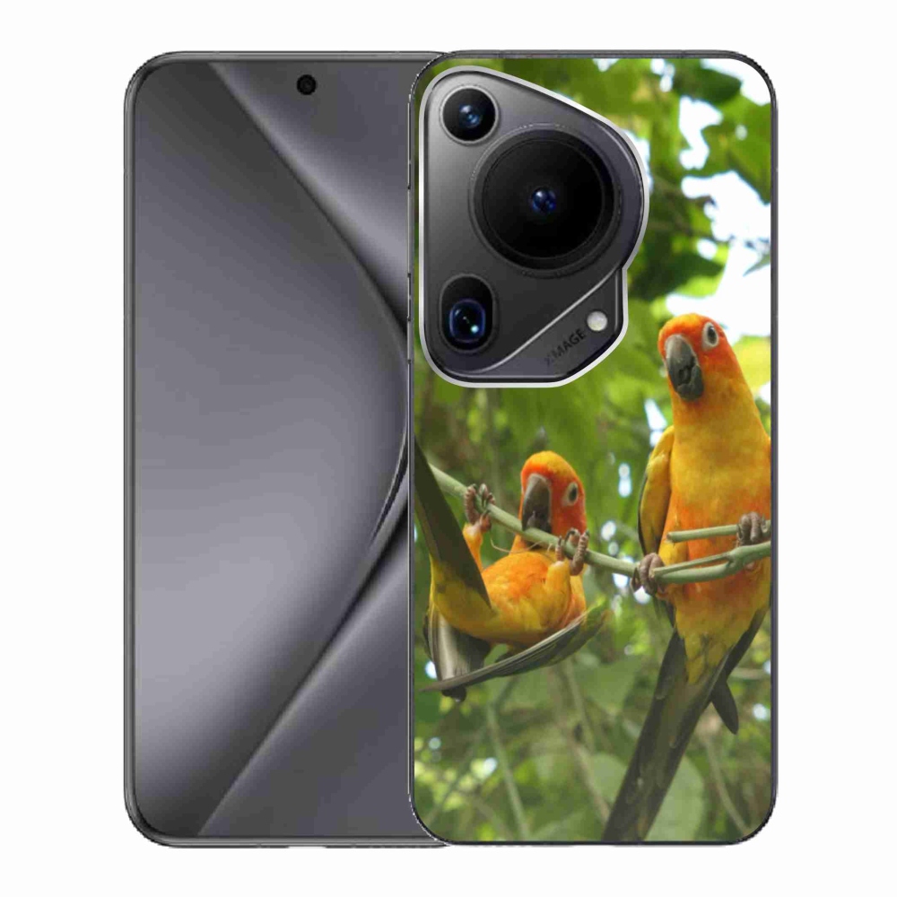 Gél borító mmCase a Huawei Pura 70 Ultra - papagájok aratingy