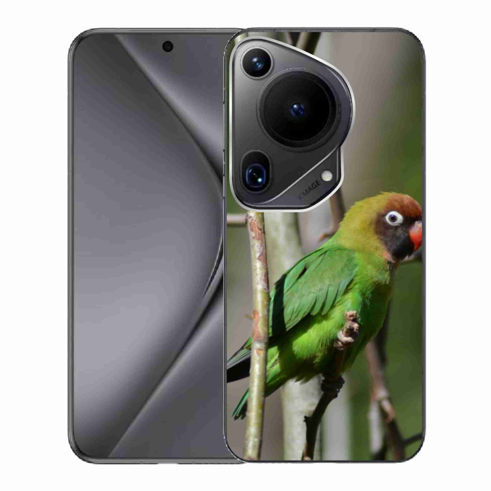Gél borítás mmCase a Huawei Pura 70 Ultra számára - papagáj agapornis