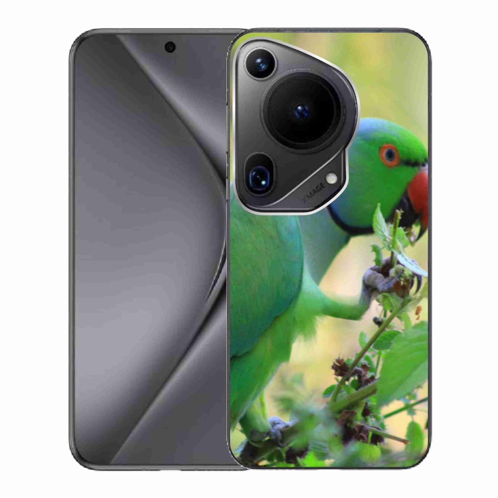 Gél borítás mmCase a Huawei Pura 70 Ultra készülékhez - papagáj alexandr