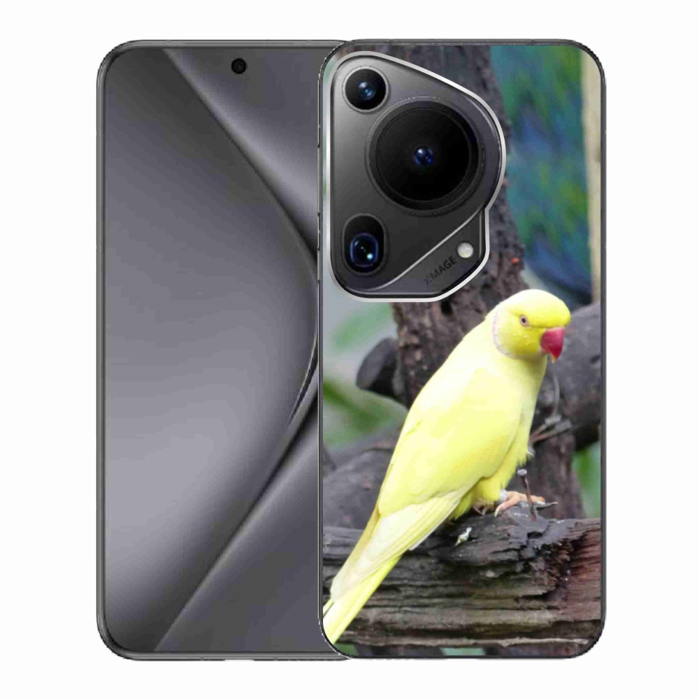 Zselés borítás mmCase a Huawei Pura 70 Ultra készülékhez - papagáj alexander sárga