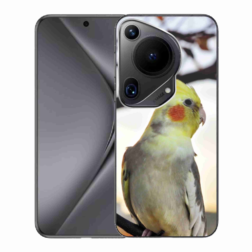 Gél borító mmCase a Huawei Pura 70 Ultra készülékhez - papagáj korela