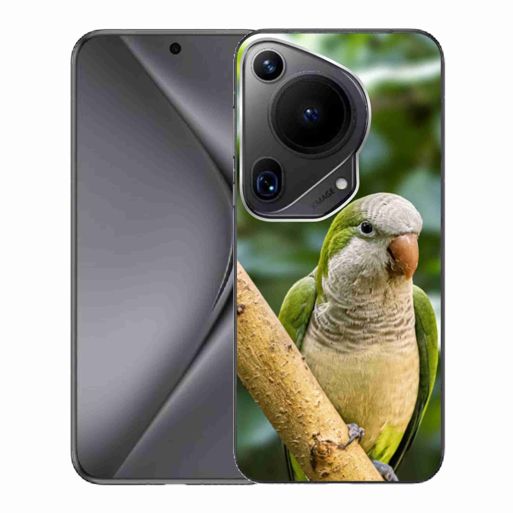 Gél borító mmCase a Huawei Pura 70 Ultra számára - papagáj szerzetes