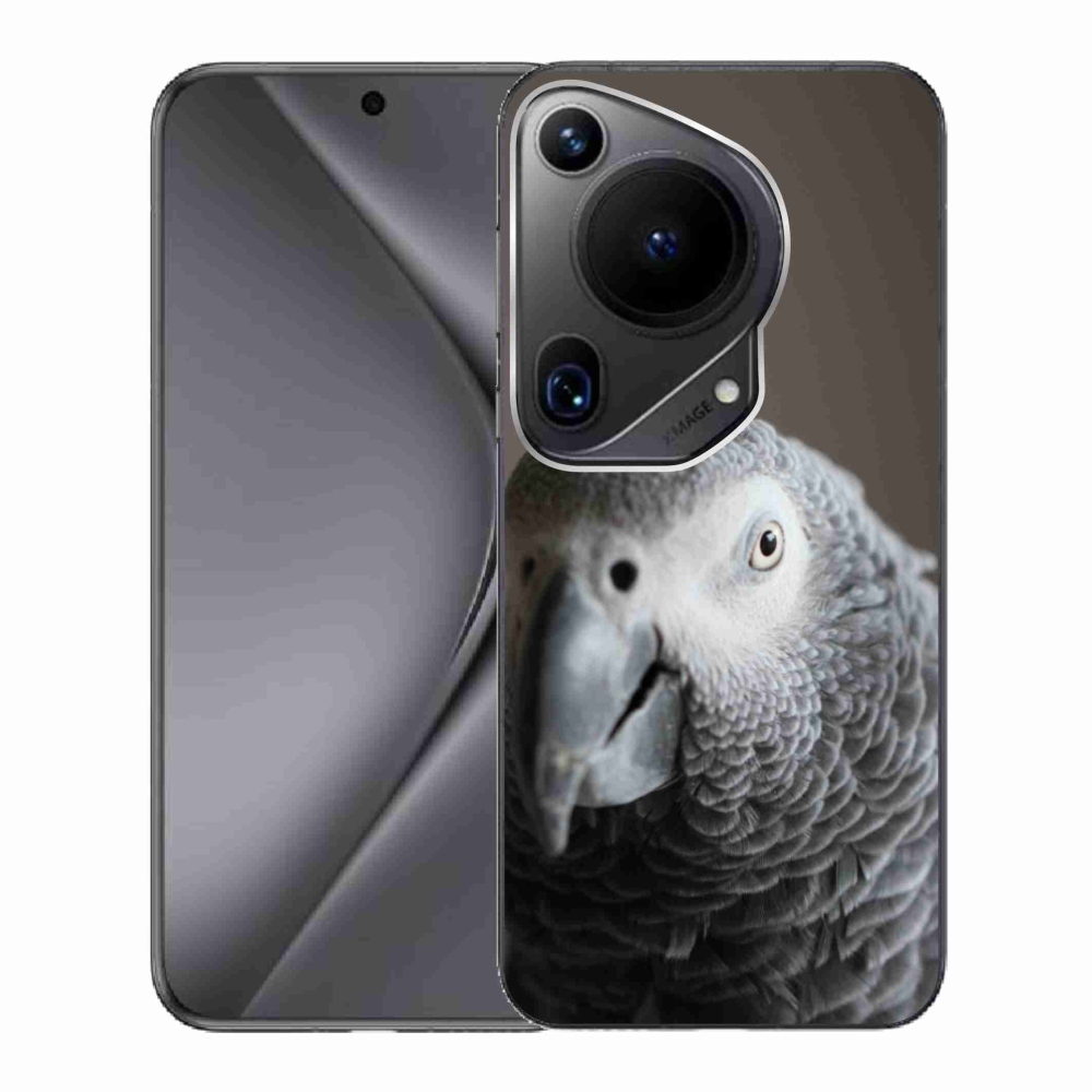 Gél borítás mmCase a Huawei Pura 70 Ultra készülékhez - papagáj jacco 2