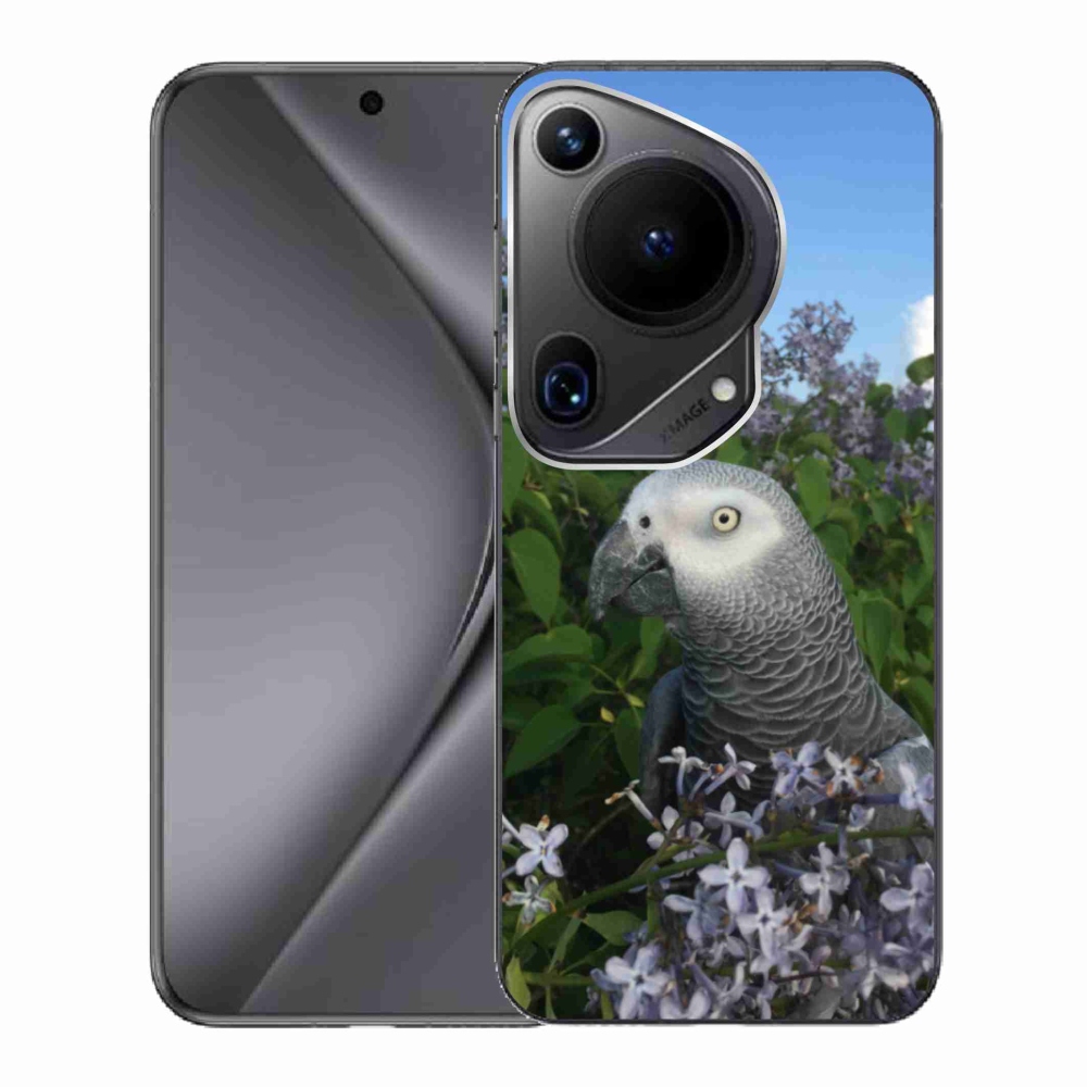 Gél borítás mmCase a Huawei Pura 70 Ultra készülékhez - papagáj jacco