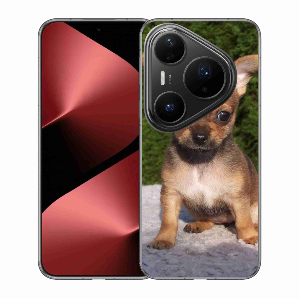 Gél borítás mmCase a Huawei Pura 80 Pro készülékhez - chihuahua 3