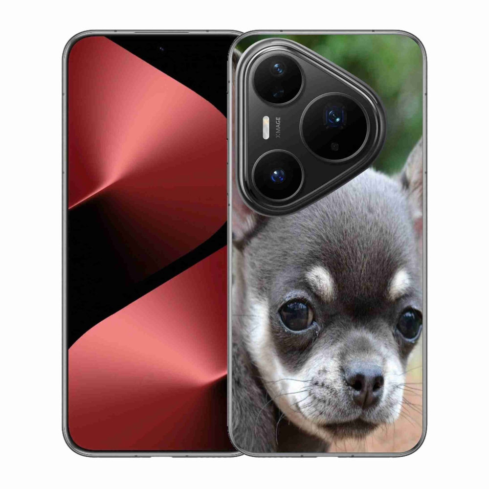 Gél borítás mmCase a Huawei Pura 80 Pro számára - chihuahua