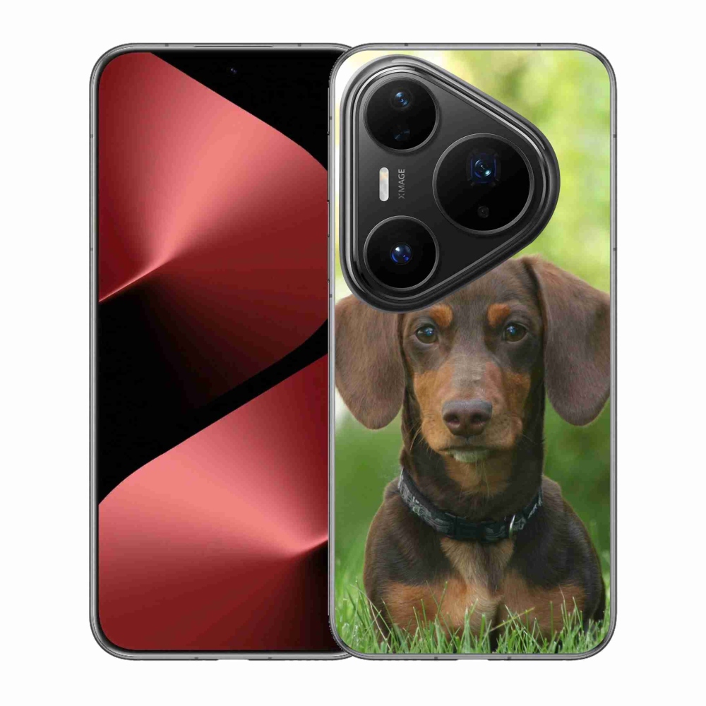 Gél borítás mmCase a Huawei Pura 80 Pro készülékhez - barna tacskó