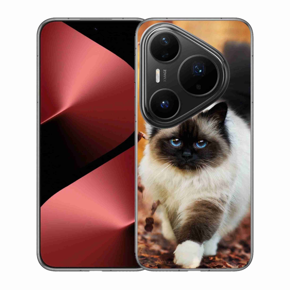 Zselés borítás mmCase a Huawei Pura 80 Pro készülékhez - macska