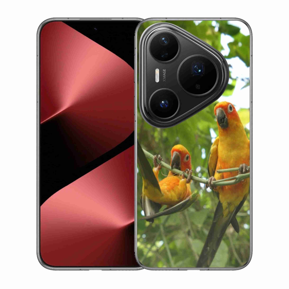Gél borító mmCase a Huawei Pura 80 Pro - papagájok aratingy