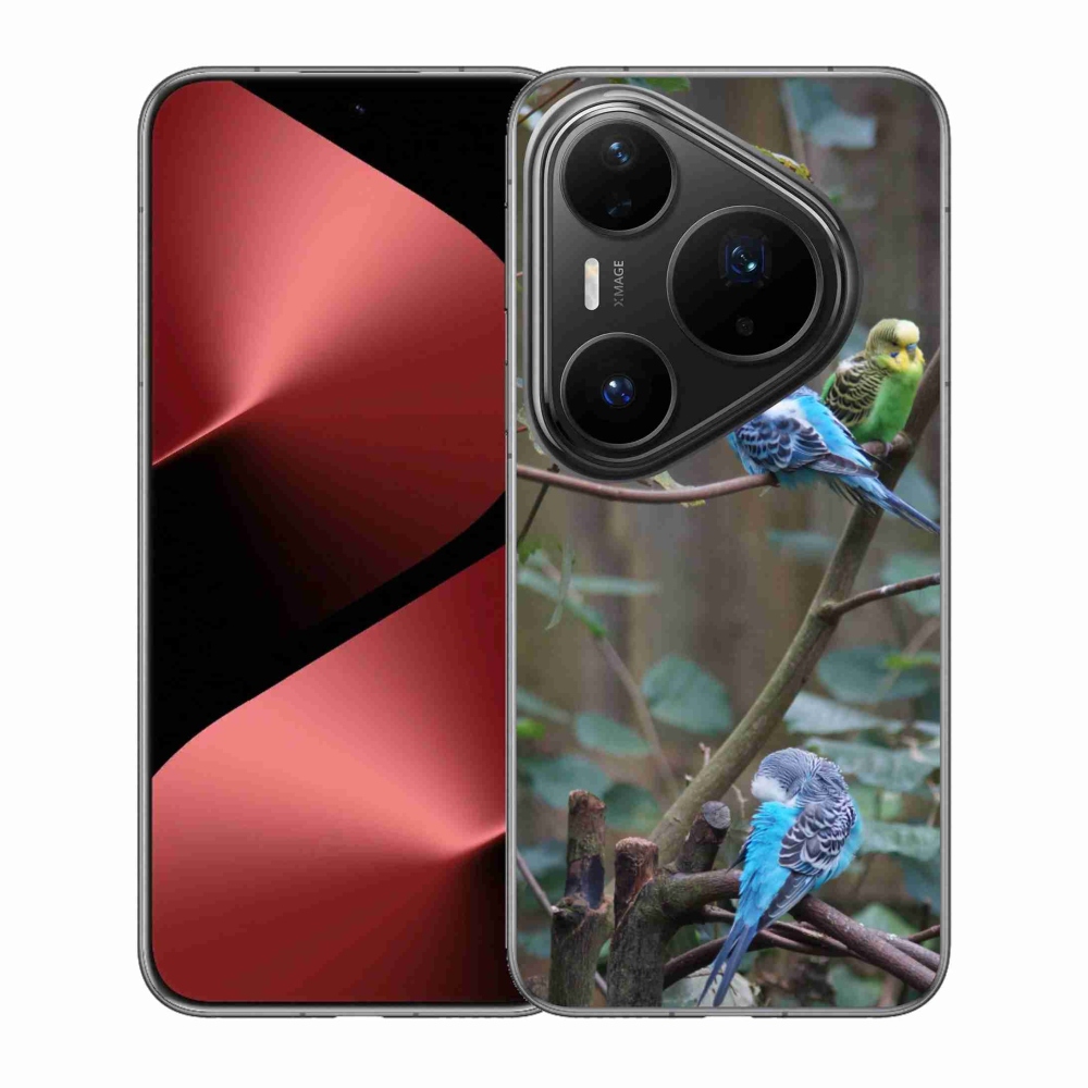 mmCase gél tok a Huawei Pura 80 Pro-hoz – papagájok az ágon