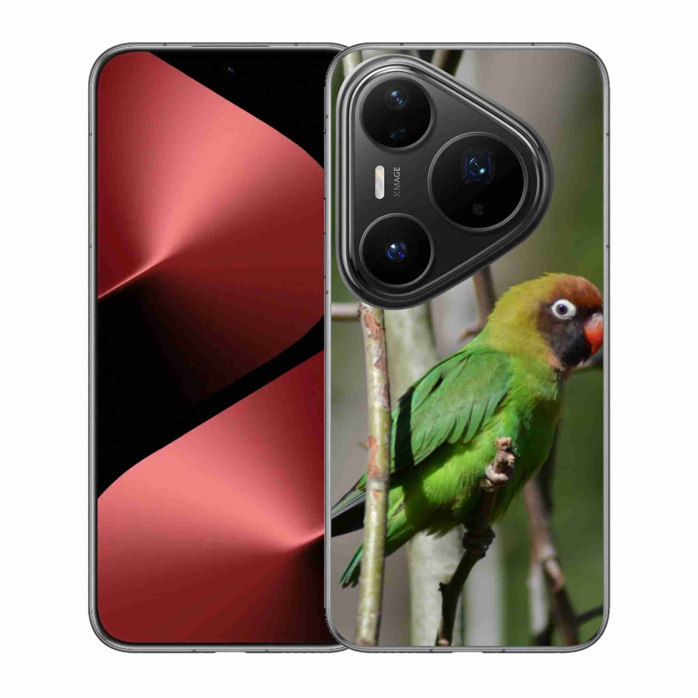 Gél borítás mmCase a Huawei Pura 80 Pro készülékhez - papagáj agapornis