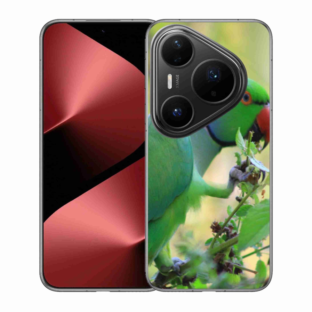 Gél borítás mmCase a Huawei Pura 80 Pro készülékhez - papagáj alexandr
