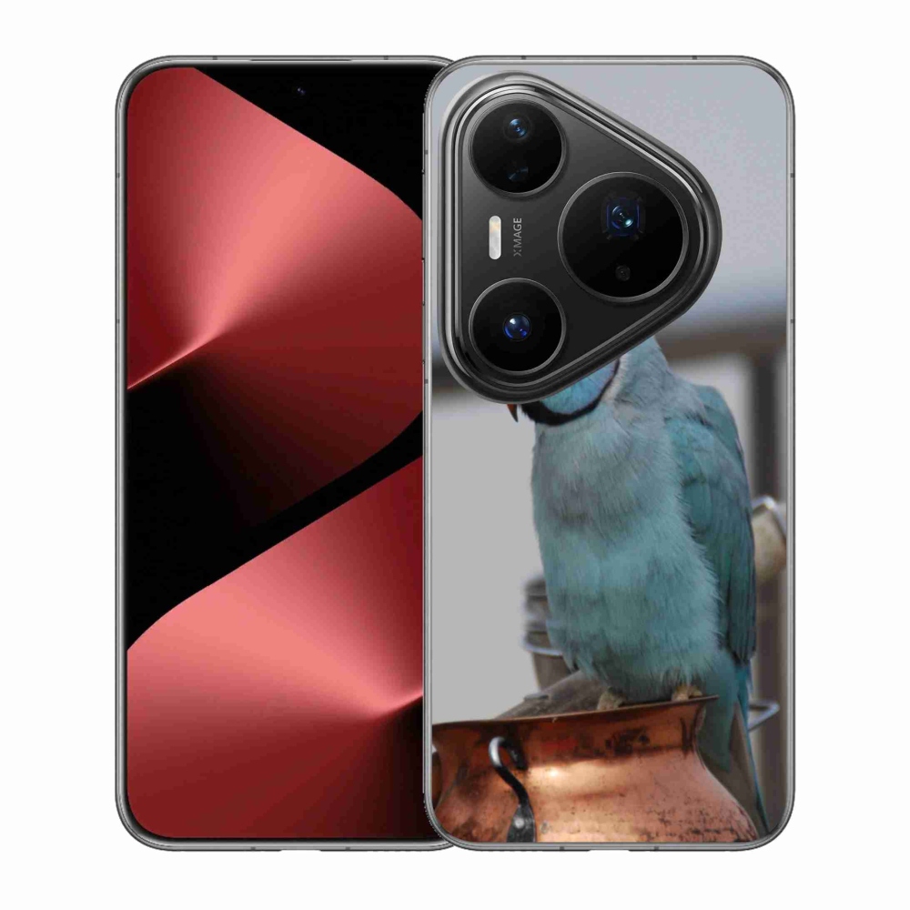Zselés borítás mmCase a Huawei Pura 80 Pro készülékhez - papagáj alexander kék