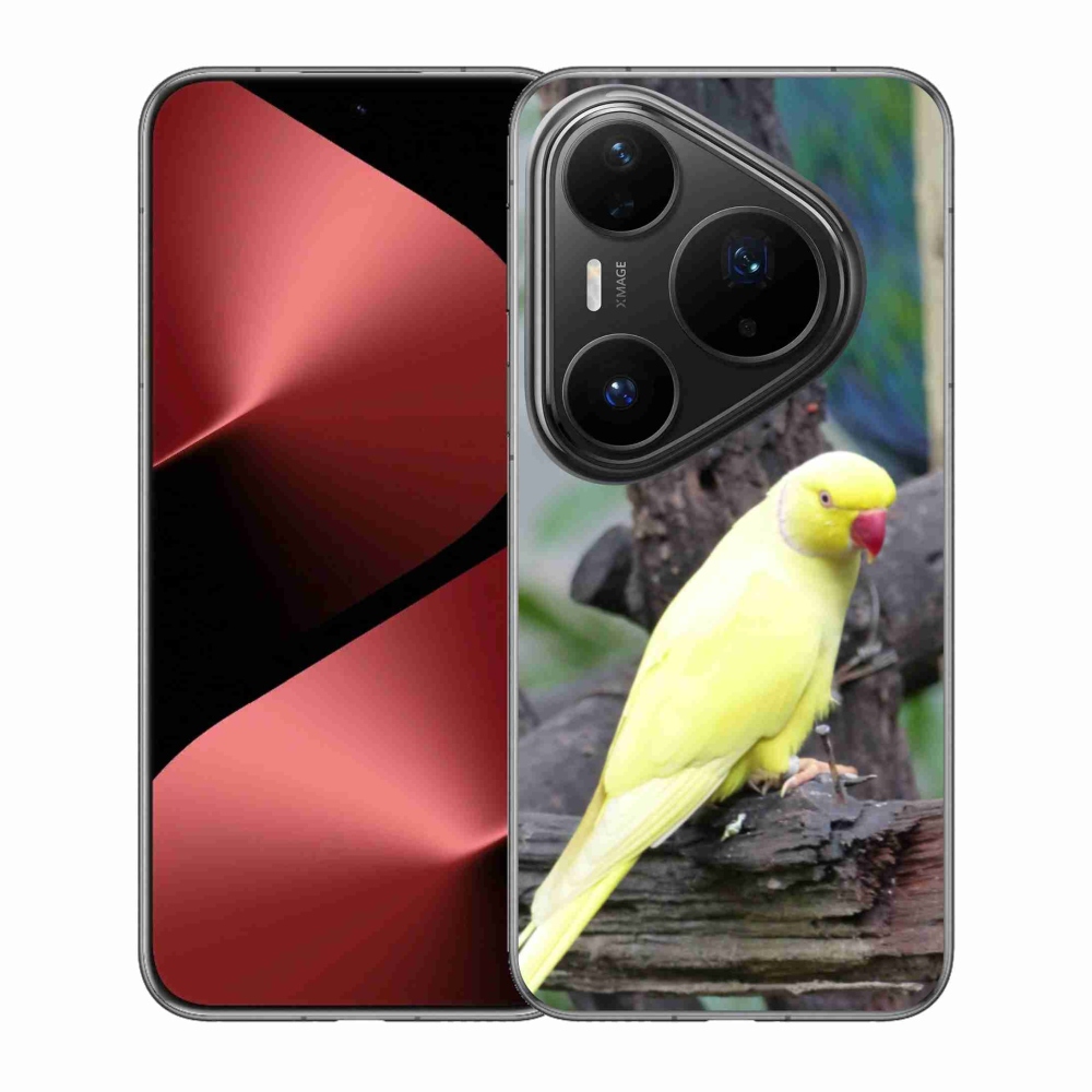 Zselés borítás mmCase a Huawei Pura 80 Pro készülékhez - papagáj alexander sárga