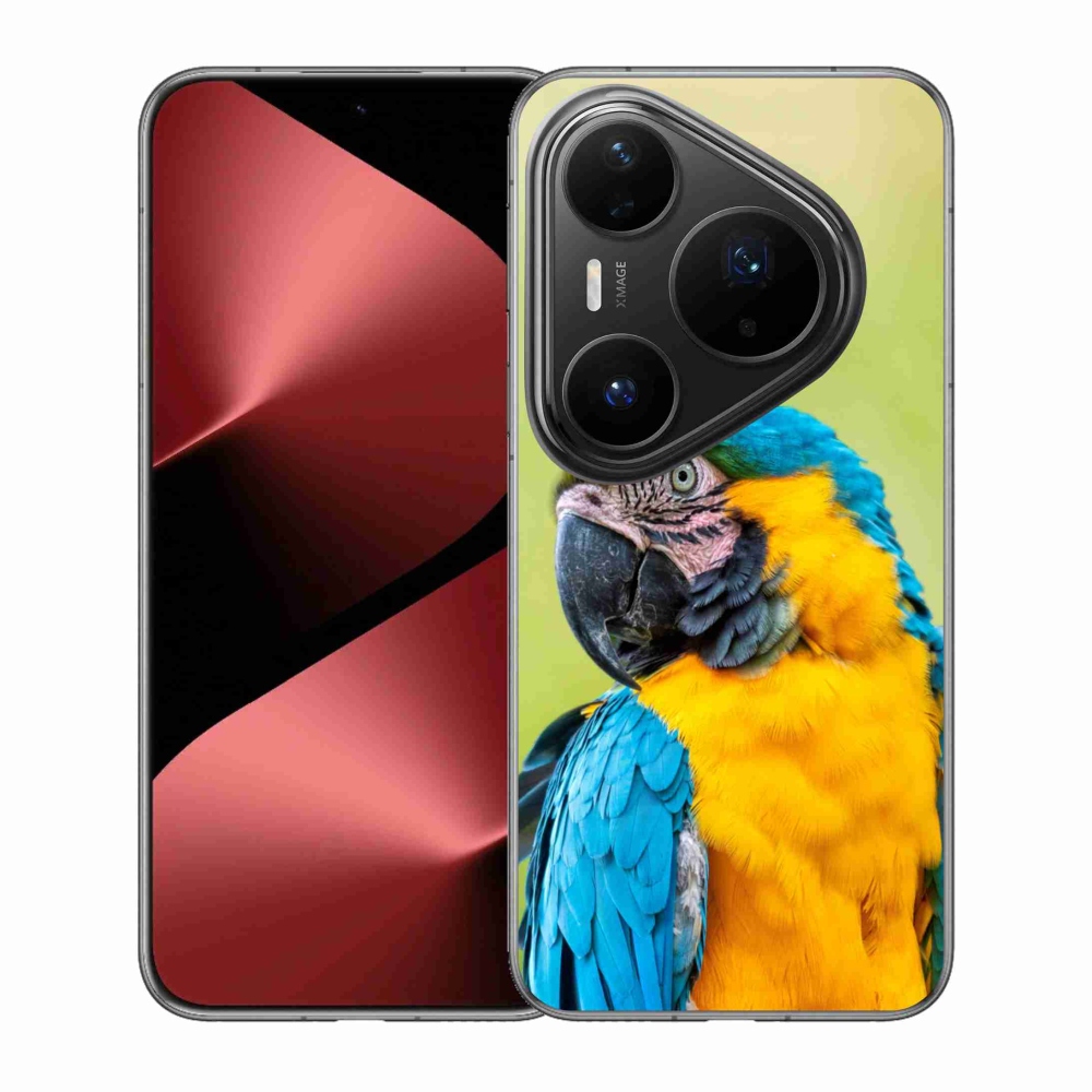 Gél borítás mmCase a Huawei Pura 80 Pro készülékhez - papagáj ara 2