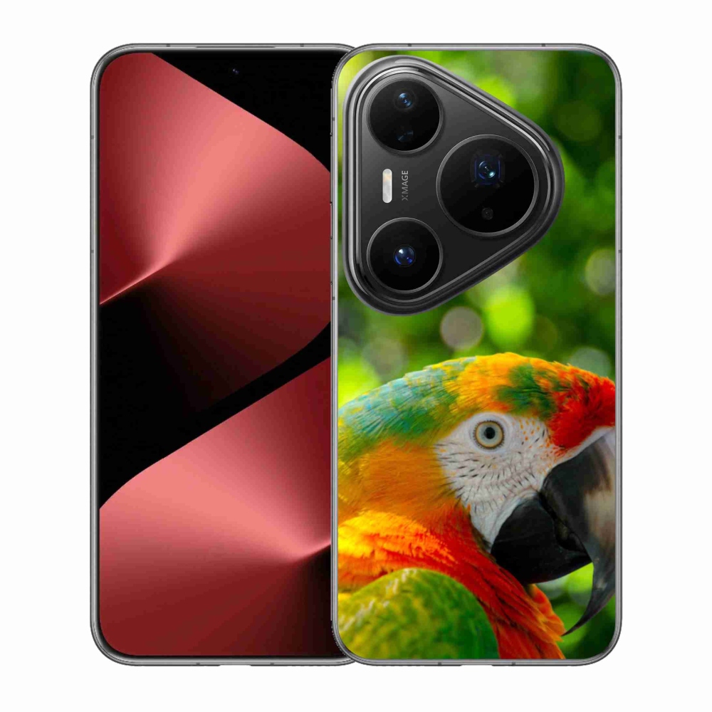 Zselés borítás mmCase a Huawei Pura 80 Pro készülékhez - papagáj ara 3
