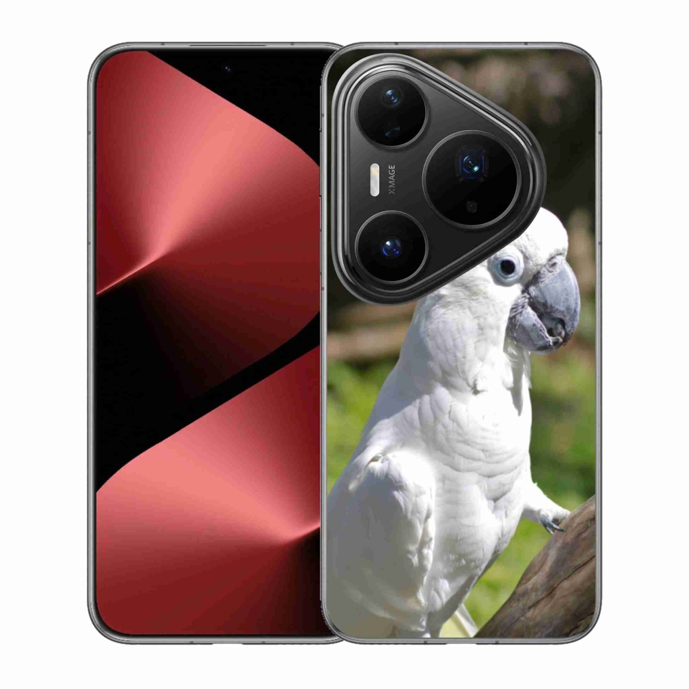 Gél borítás mmCase a Huawei Pura 80 Pro készülékhez - papagáj kakadu 2