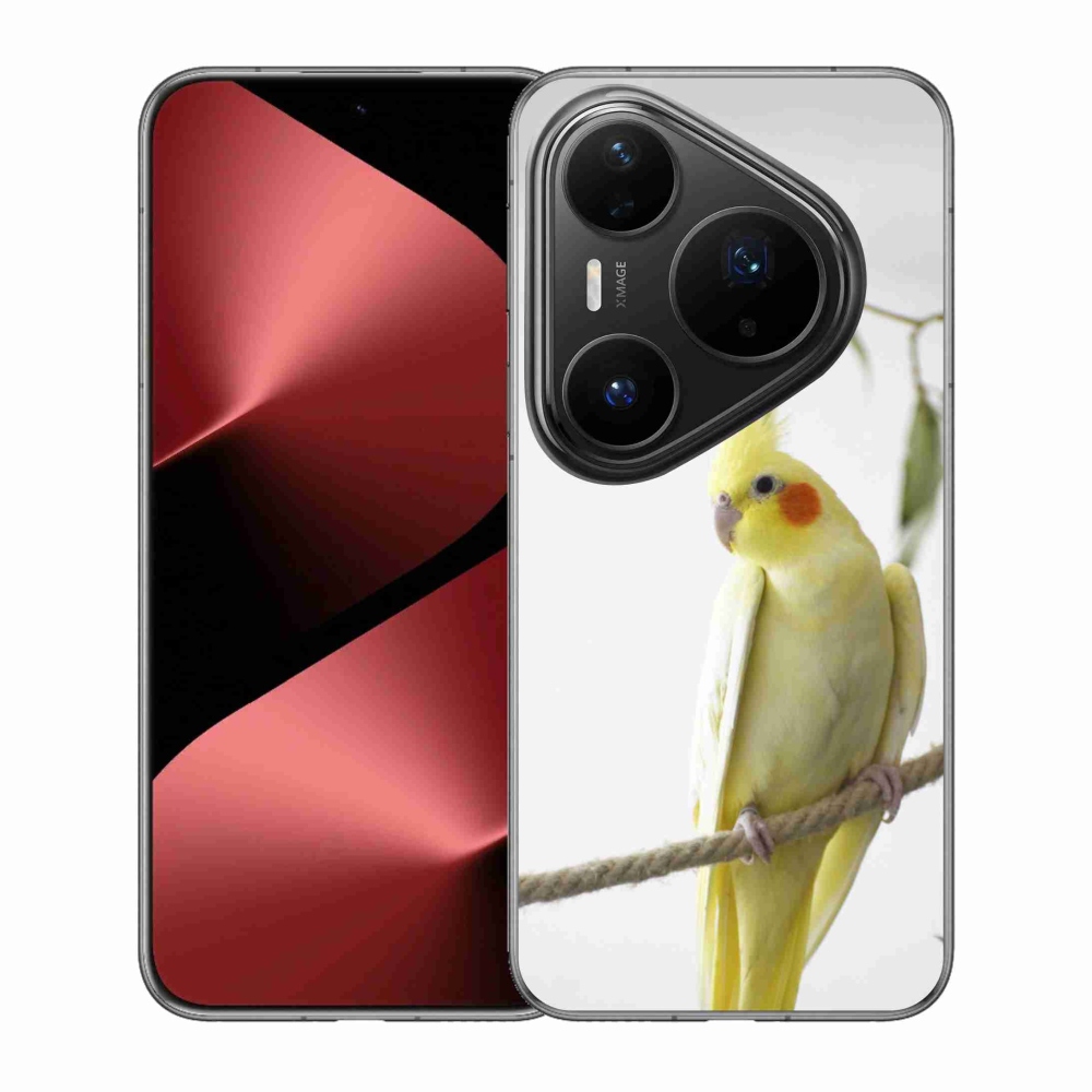 mmCase gél tok a Huawei Pura 80 Pro-hoz – tollas papagáj