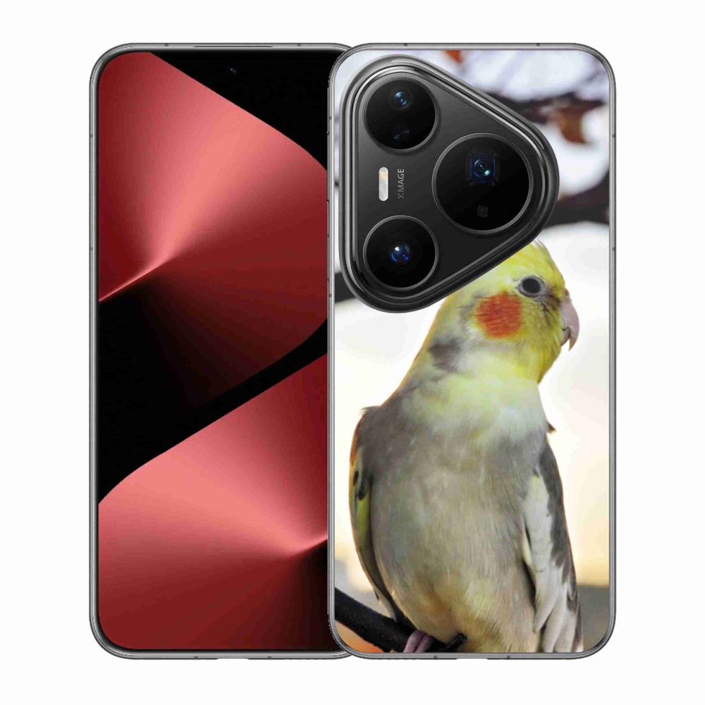 Gél borítás mmCase a Huawei Pura 80 Pro készülékhez - papagáj korela