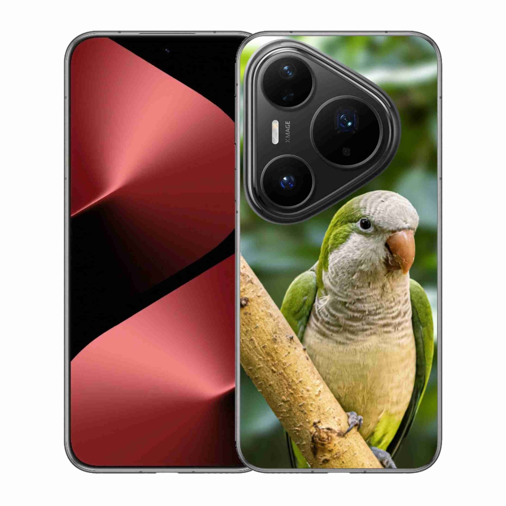 Gél borítás mmCase a Huawei Pura 80 Pro készülékhez - papagáj szerzetes