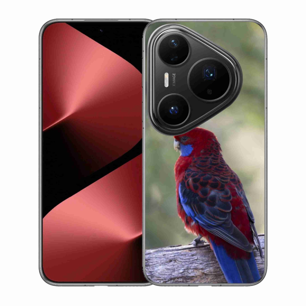 Zselés borítás mmCase a Huawei Pura 80 Pro készülékhez - papagáj rosela