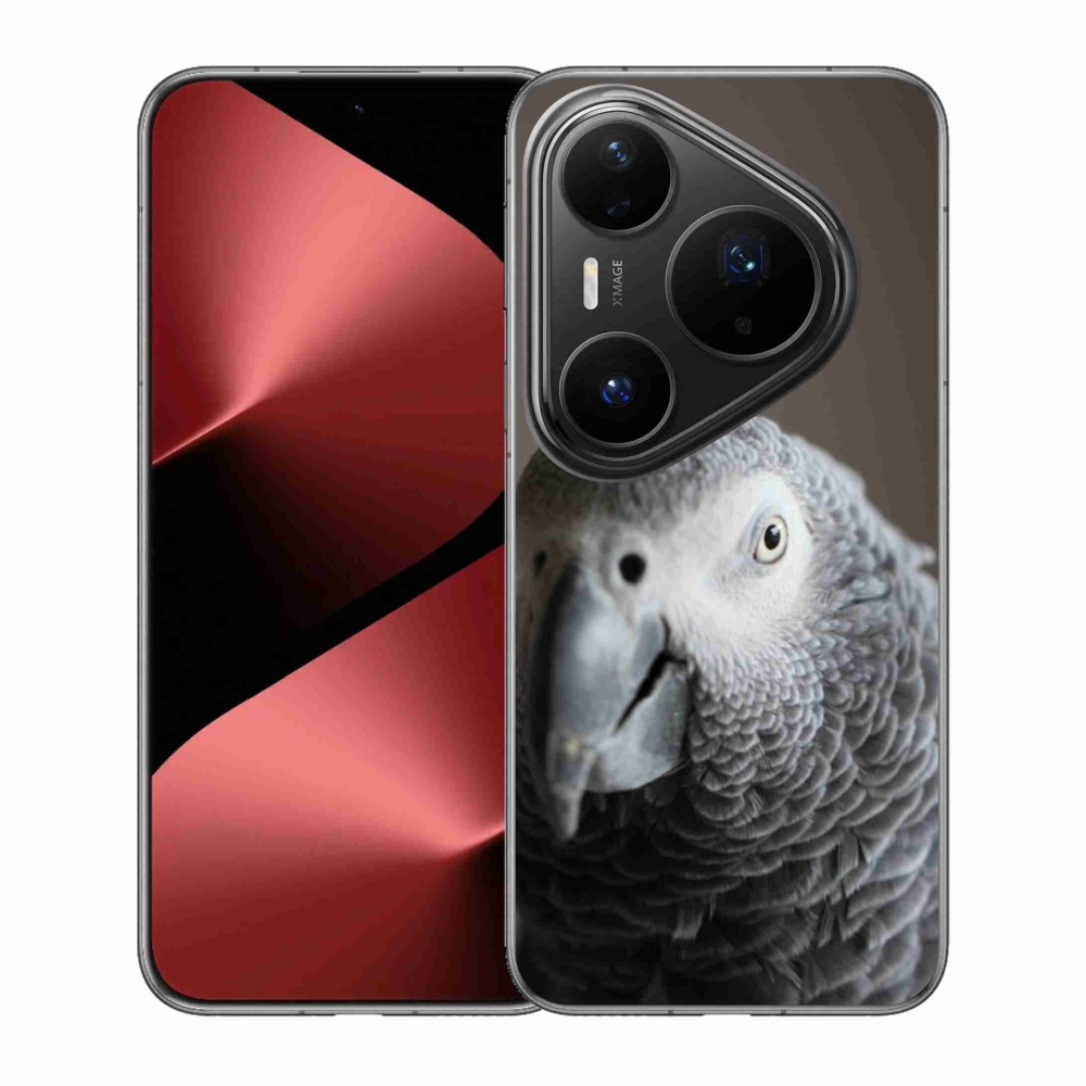 Gél borítás mmCase a Huawei Pura 80 Pro készülékhez - papagáj jacco 2