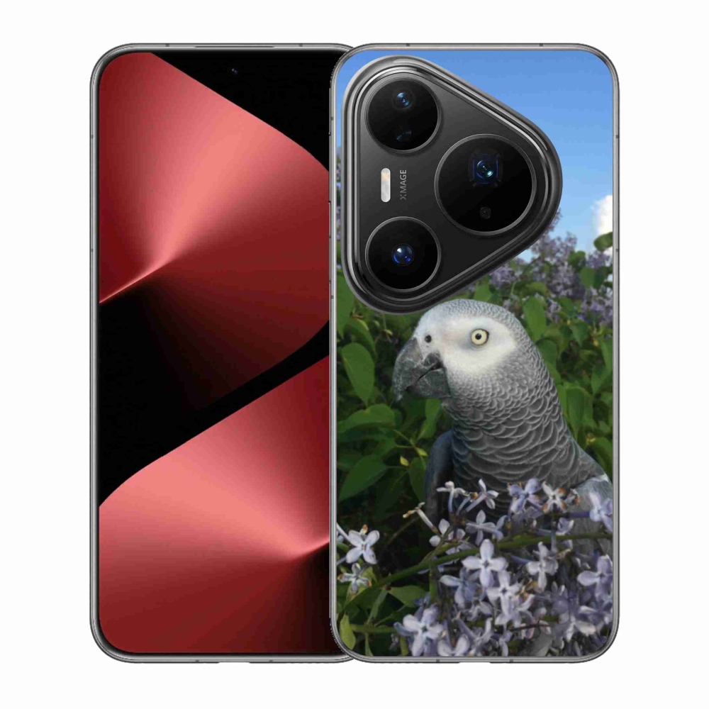 Gél borítás mmCase a Huawei Pura 80 Pro készülékhez - papagáj jacco