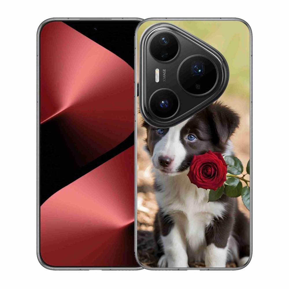 mmCase gél tok a Huawei Pura 80 Pro-hoz – aranyos border collie rózsával