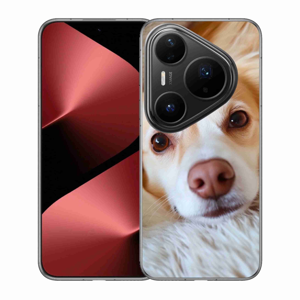 mmCase gél tok a Huawei Pura 80 Pro-hoz – Aranyos csivava