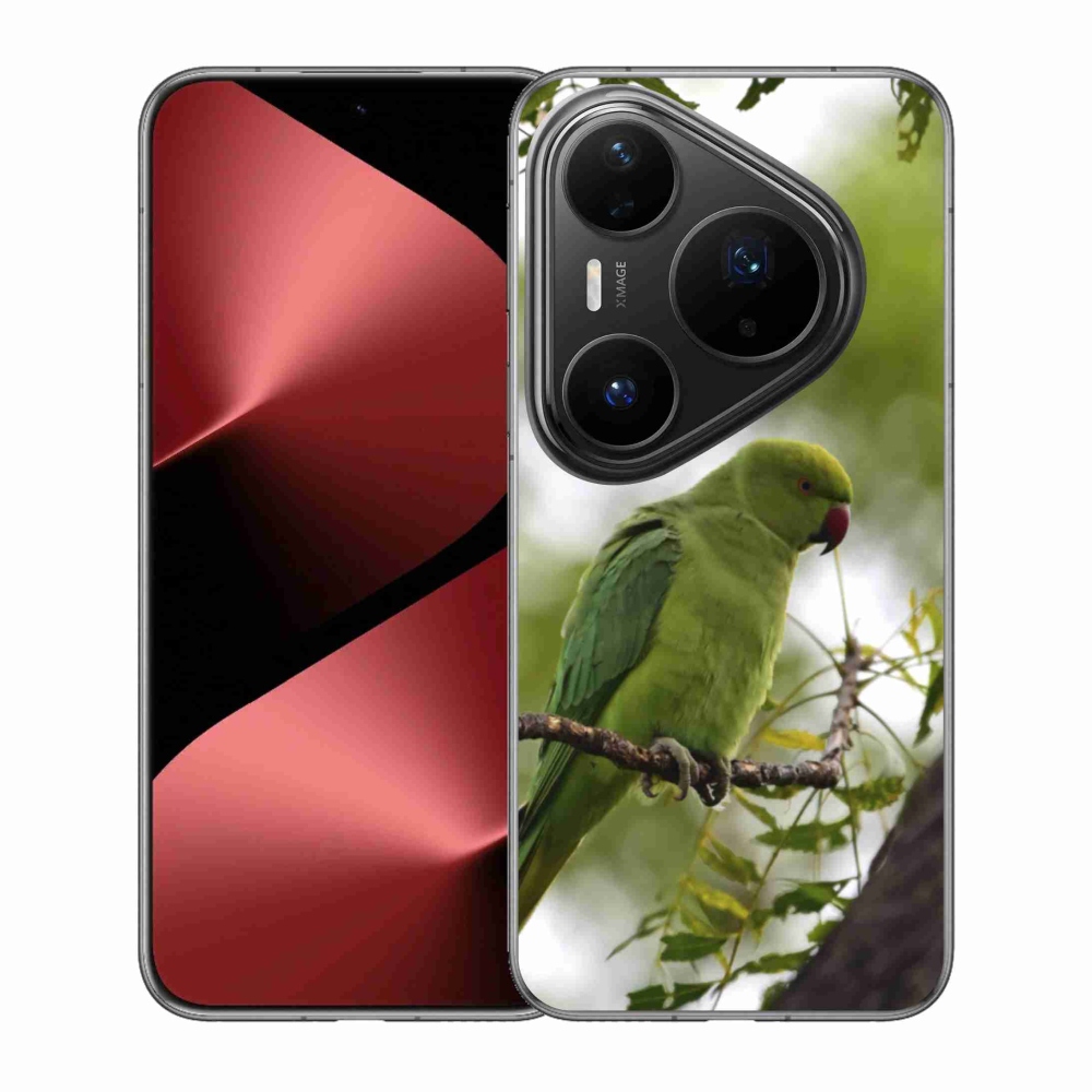 Zselés borítás mmCase a Huawei Pura 80 Pro készülékhez - zöld papagáj