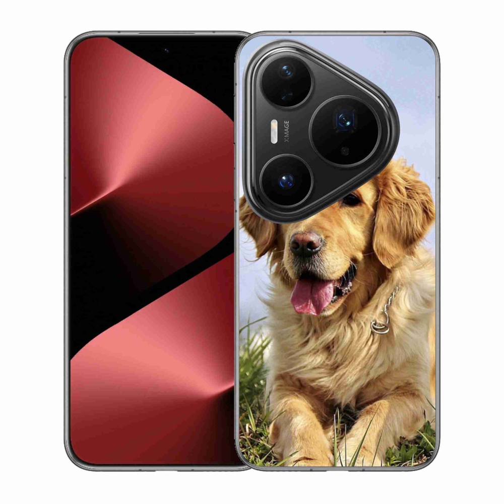 Gél borítás mmCase a Huawei Pura 80 Pro számára - arany retriever
