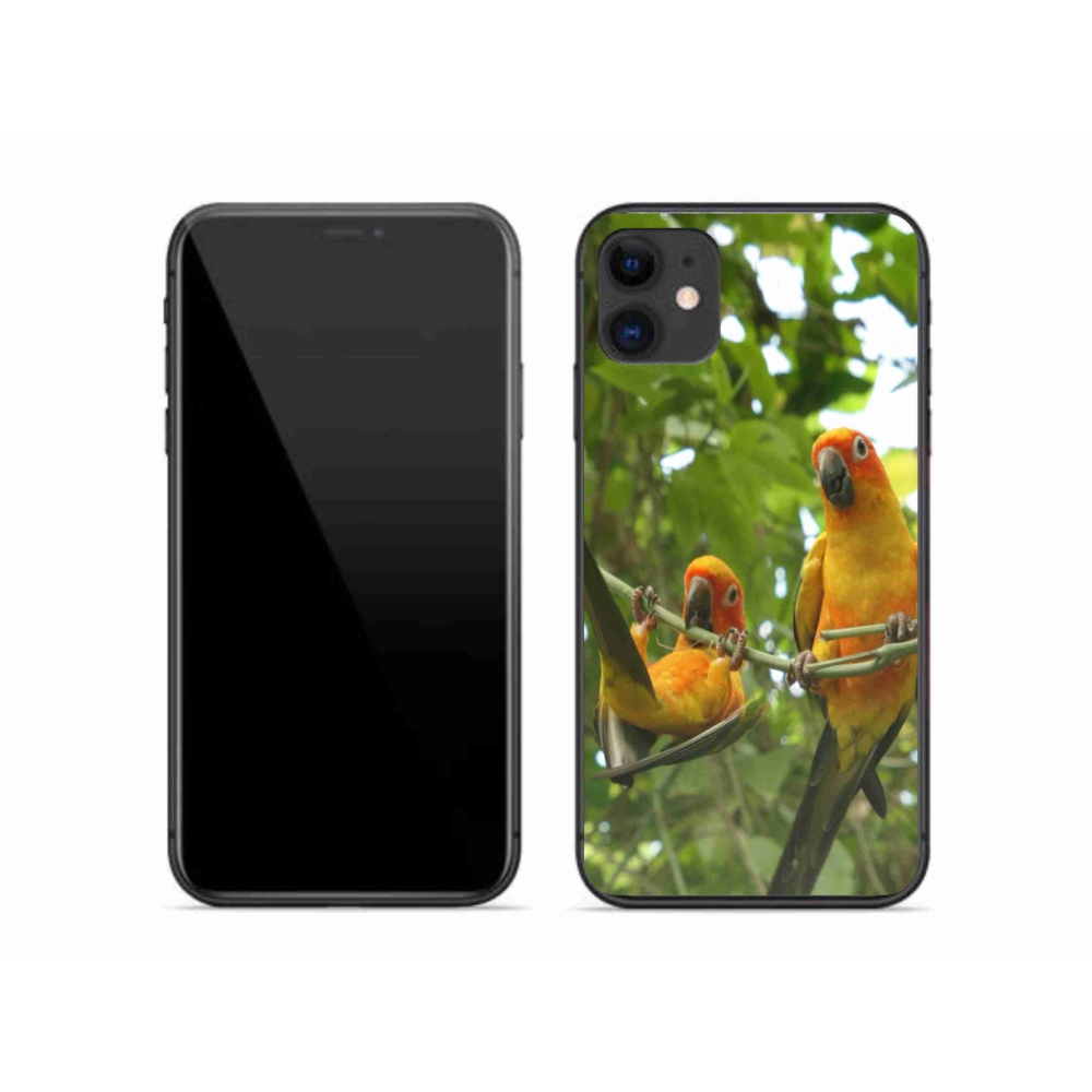 mmCase gél tok az iPhone 11-hez – aratinga papagájok